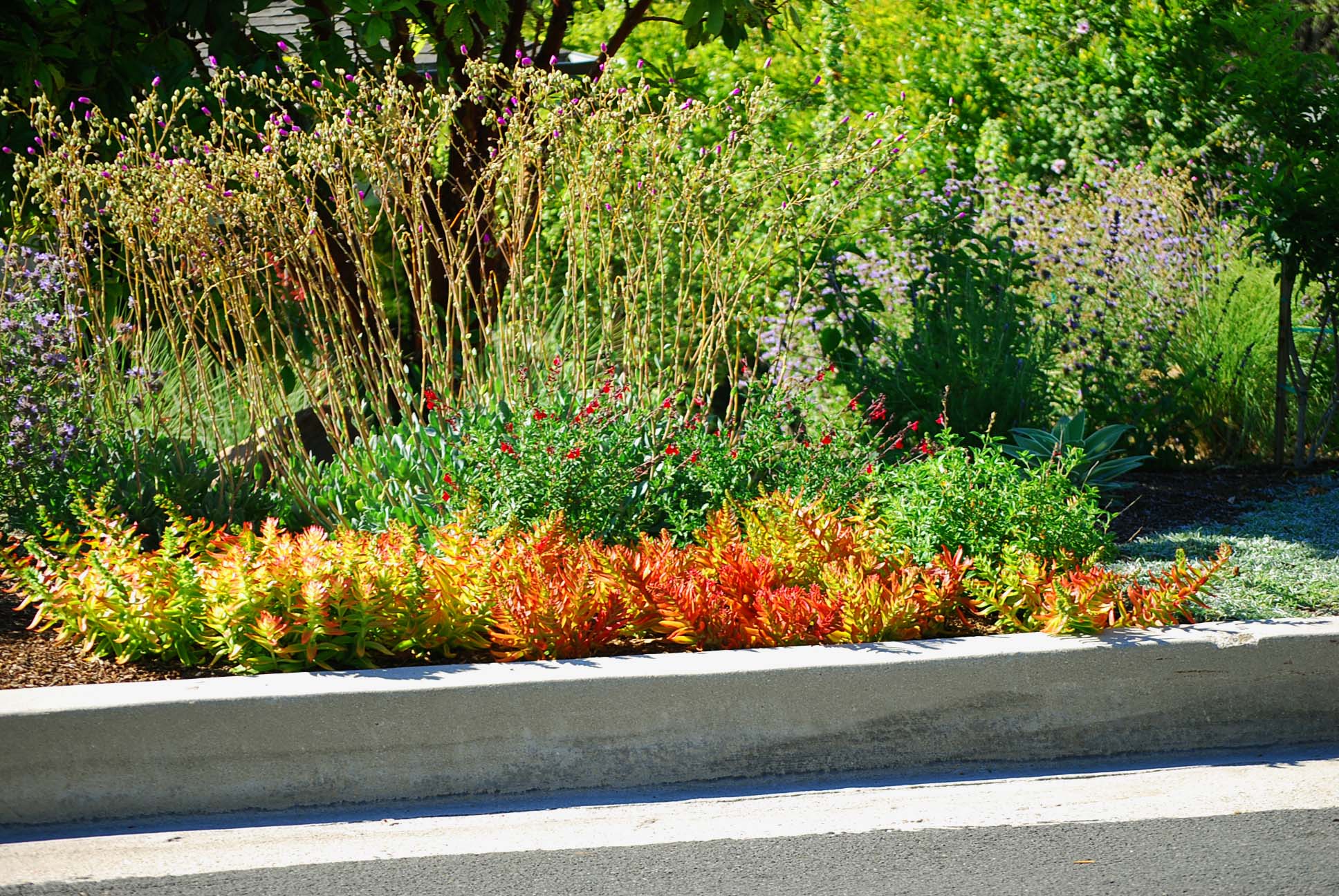 Compass Landscape Construction Inc. Quality Landscape and Hardscape